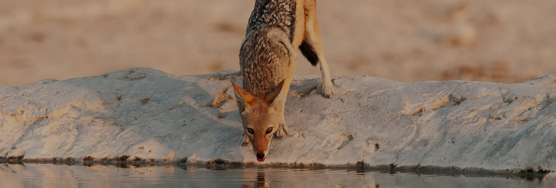 12 Day Namibia Explorations Tour