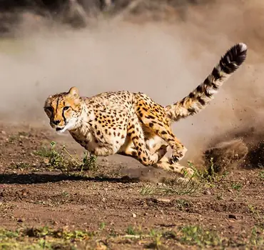 N/a’an Ku Se Wildlife Sanctuary N/a’an Ku Se Wildlife Sanctuary