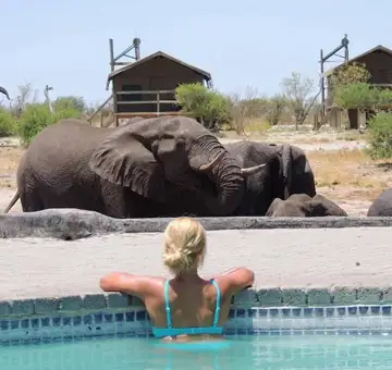 Elephant Sands Elephant Sands