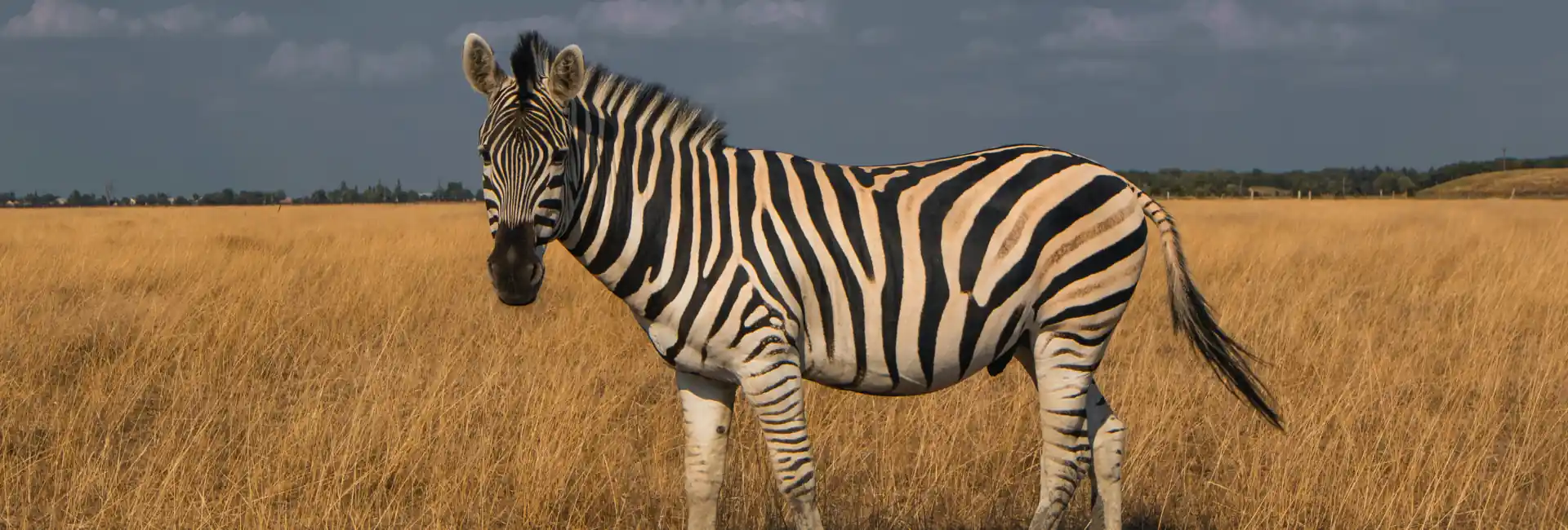Etosha National Park