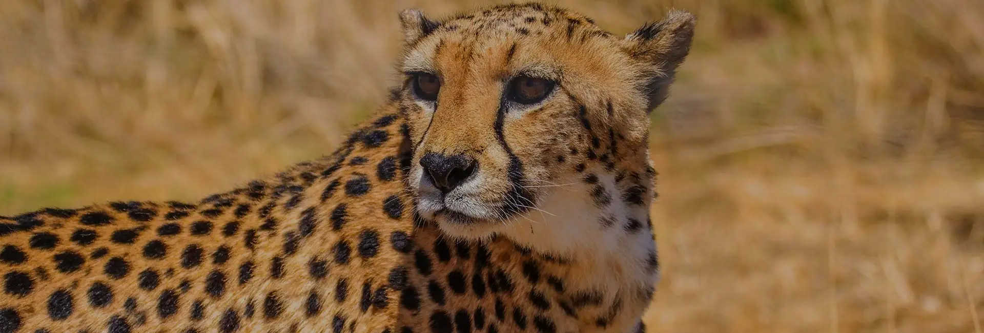 N/a’an Ku Se Wildlife Sanctuary