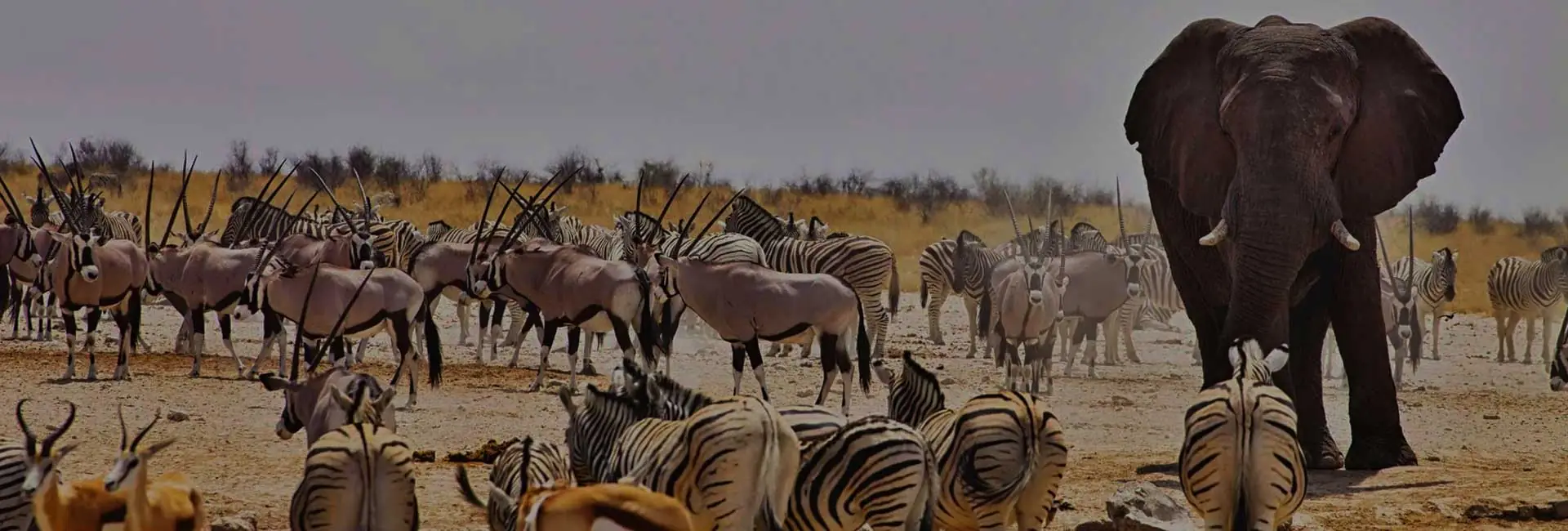 Namibia Accommodated Safari