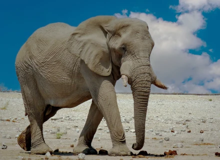 12 Days Namibia Explorations Tour